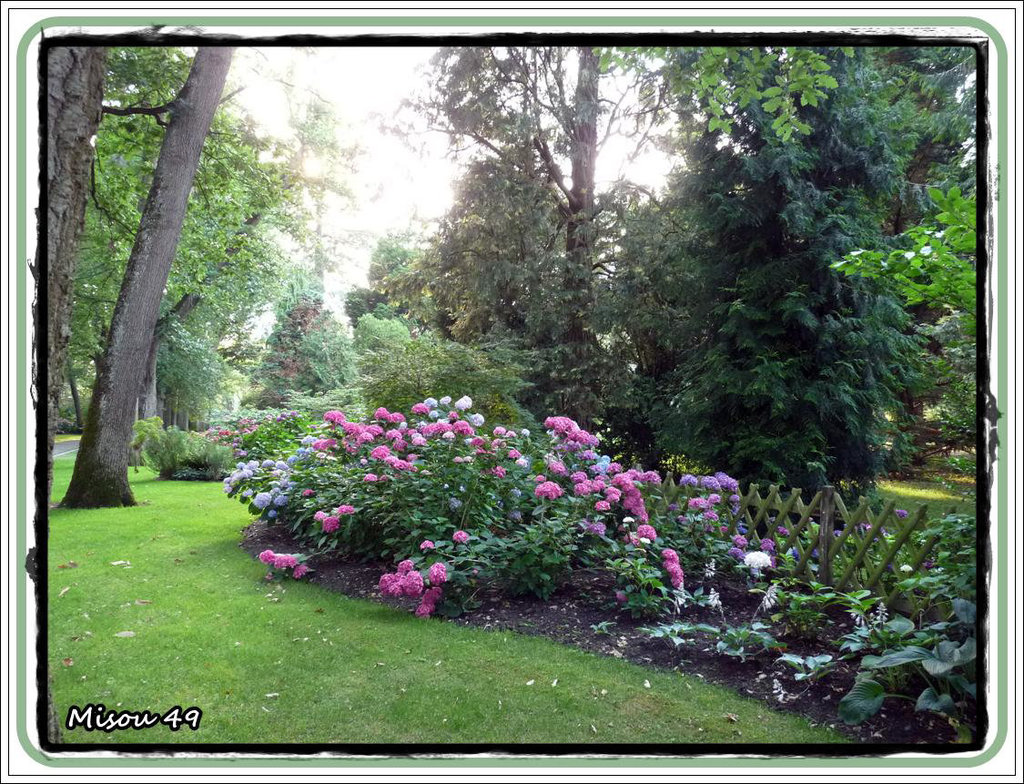 PARC de L'ARBORETUM