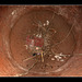 Brick pit