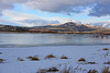 Washoe Valley winter