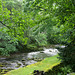Beckside