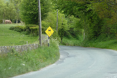 Ballymore Eustace 2013 – Watch out for slippery cars