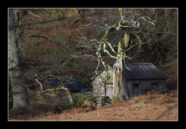 Woodmans cottage