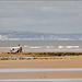 Swansea Bay