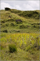 The lone bench