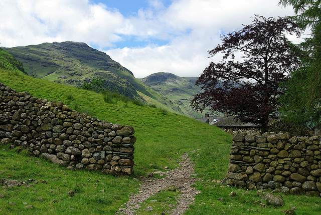 The path to Side House