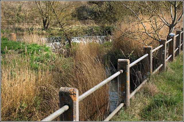 The weir