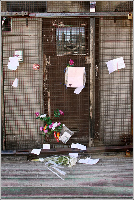 Ianto's Shrine