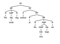 test tree 1