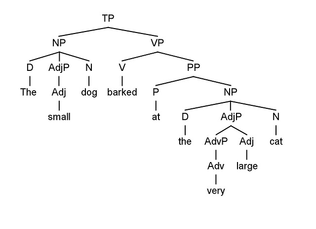 test tree 1