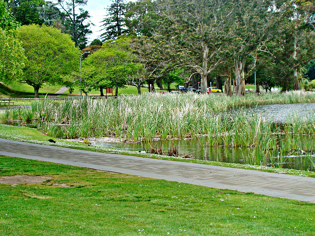 Hamilton Lake