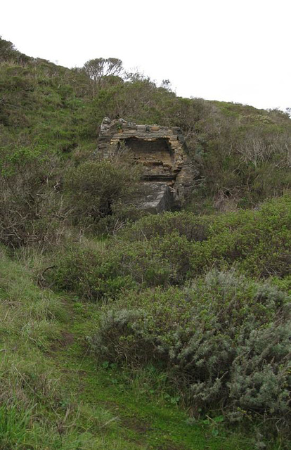 Marin Headlands 1559a