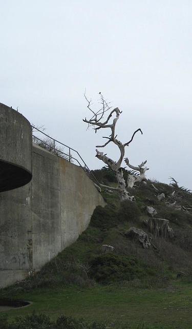 Marin Headlands 1569a