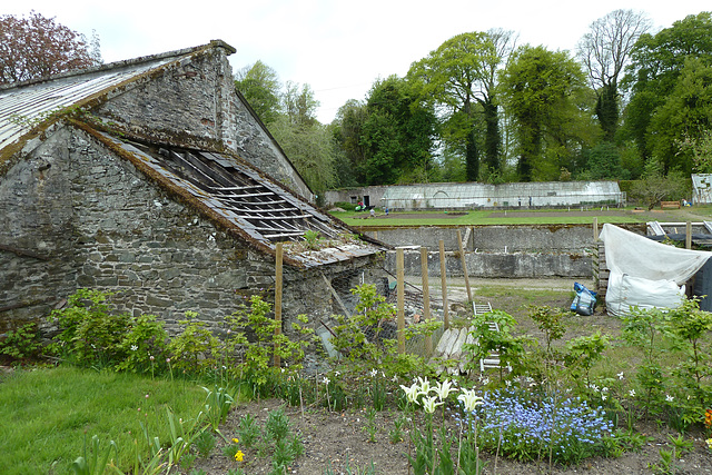 Russborough House 2013 – Greenhouse in the Walled Garden