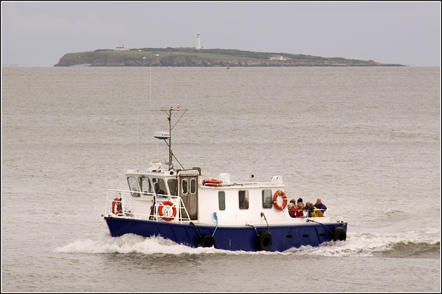 The Flat Holm project.