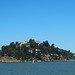 Blue and Gold Tiburon Ferry (3067)