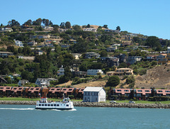 Blue and Gold Tiburon Ferry (3070)