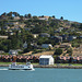 Blue and Gold Tiburon Ferry (3070)