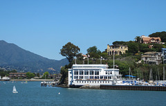 Blue and Gold Tiburon Ferry (3071)