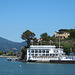 Blue and Gold Tiburon Ferry (3071)