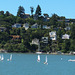 Blue and Gold Tiburon Ferry (3073)