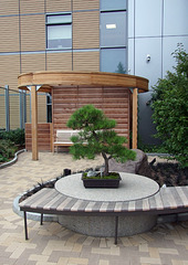 The Healing Garden in Yale University Hospital in New Haven, August 2010