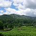Lingmoor Fell
