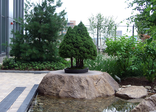 The Healing Garden in Yale University Hospital in New Haven, August 2010