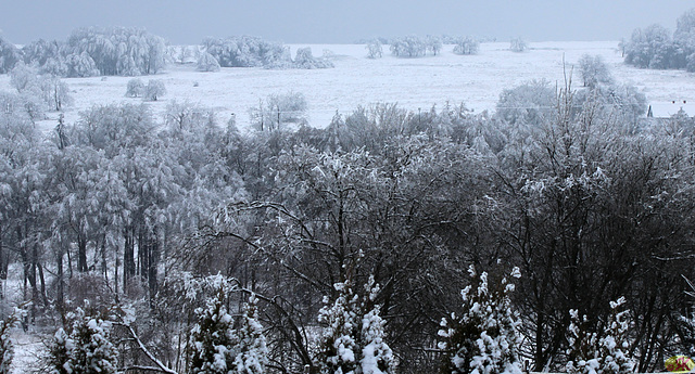 2014-01-30 6 Tisá  Cehio