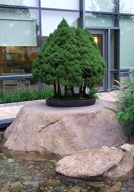 The Healing Garden in Yale University Hospital in New Haven, August 2010