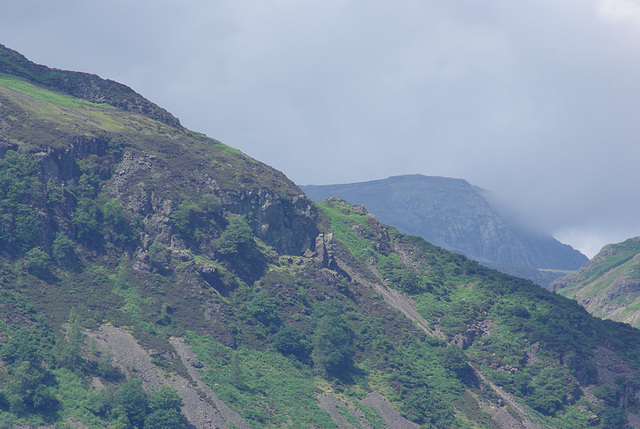 Oak Howe Needle