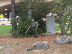 Marin County Civic Center 3034a