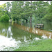 summer flood at University Parks