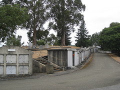 Marin Cemetery 3055a