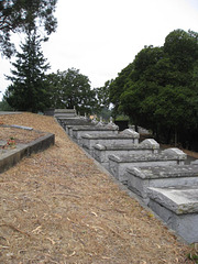 Marin Cemetery 3056a