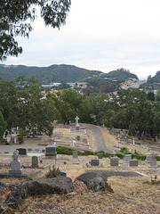 Marin Cemetery 3058a