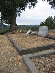 Marin Cemetery 3060a