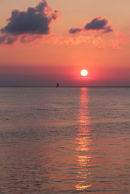 sunset sail