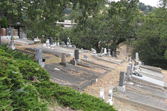 Marin Cemetery 3061a