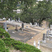 Marin Cemetery 3061a