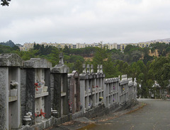 Marin Cemetery 3063a