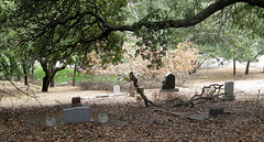 Marin Cemetery 3066a