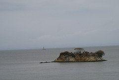 China Camp State Park 3069a