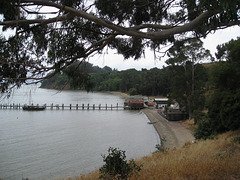 China Camp State Park 3070a