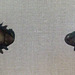 Pair of Eyes in the Metropolitan Museum of Art, July 2007