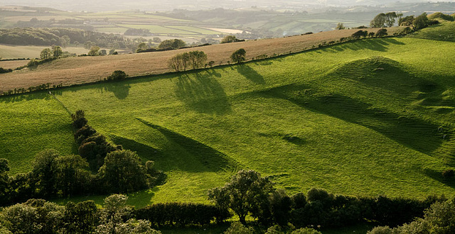 Eggardon shadows