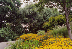 Flowers in the Central Park Zoo, 2005