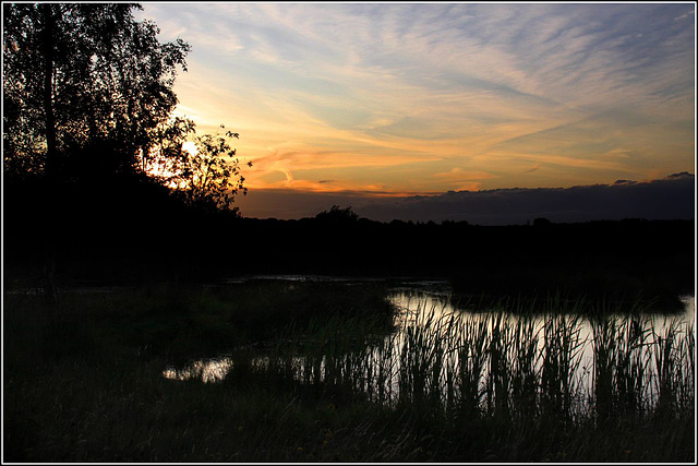 A Wiltshire pond