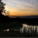 A Wiltshire pond