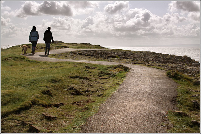 Dog walkers