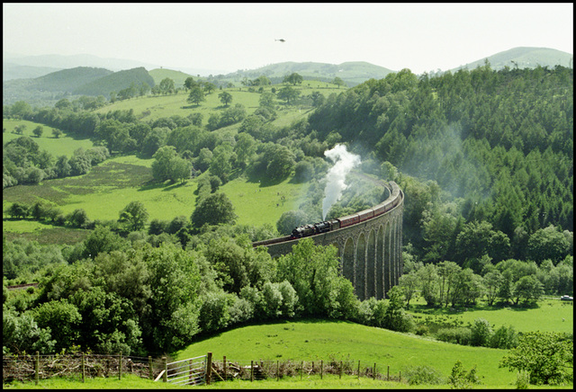 Steam on Cynghordy Viaduct